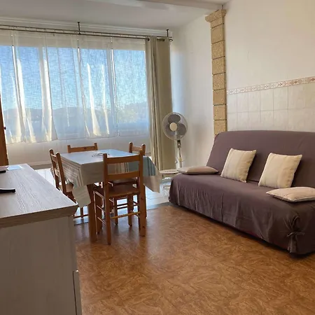 Apartment T1 Lumineux Avec Cuisine Equipee, Coin Nuit Separe Et Wifi - - Fr-1-553-48